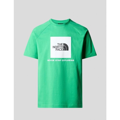 textil Hombre Camisetas manga corta The North Face CAMISETA  RAGLAN REDBOX TEE   OPTIC EMERALD Verde