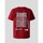 textil Hombre Camisetas manga corta The North Face CAMISETA  SS24 COORDINATES TEE  IRON RED Rojo