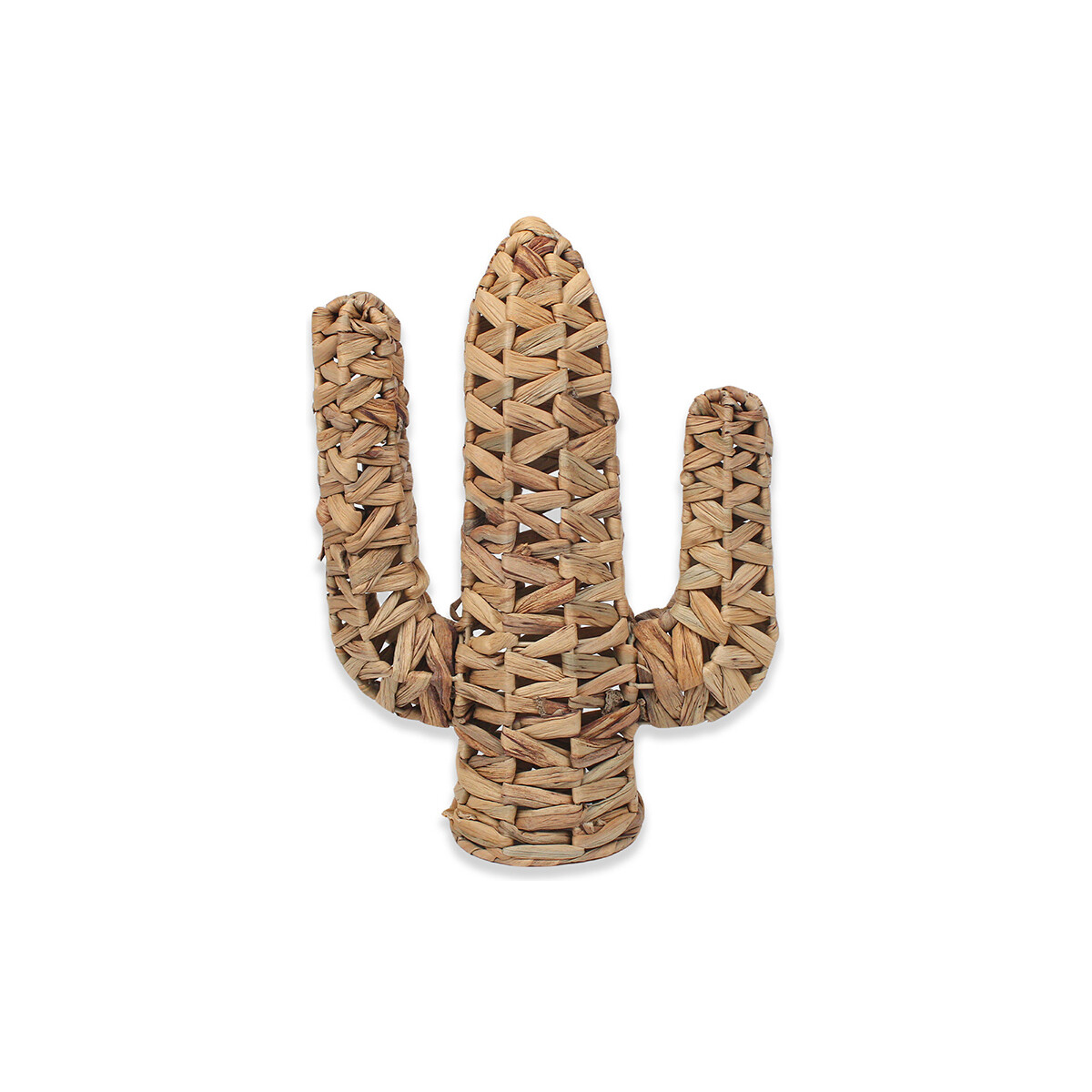Casa Figuras decorativas Signes Grimalt Cactus Decoracion Marrón