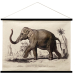 Lienzo Enrollable Elefante