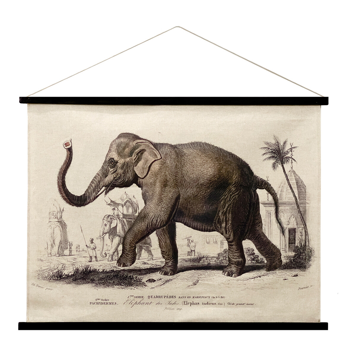 Casa Cuadros / pinturas Signes Grimalt Lienzo Enrollable Elefante Kaki