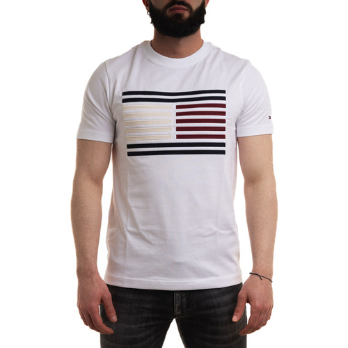 textil Hombre Tops y Camisetas Tommy Hilfiger MW0MW35460 Blanco