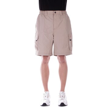 textil Hombre Shorts / Bermudas Dickies DK0A4YAC Beige
