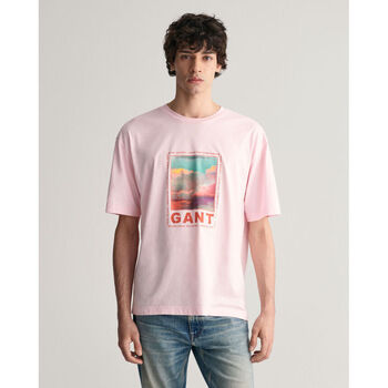 textil Hombre Tops y Camisetas Gant Camiseta gráfica lavada Rosa