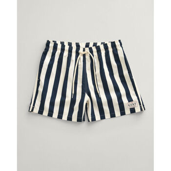 textil Hombre Shorts / Bermudas Gant Shorts de baño de rayas en bloque Marino
