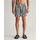 textil Hombre Shorts / Bermudas Gant Shorts de baño de rayas en bloque Multicolor