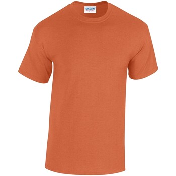 textil Hombre Camisetas manga larga Gildan Heavy Cotton Naranja