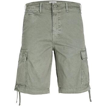 textil Hombre Shorts / Bermudas Jack & Jones 12253122 COLE-AGAVE GREEN Verde