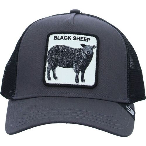 Accesorios textil Sombrero Goorin Bros 101-0380 BLACK SHEEP-GREY Gris