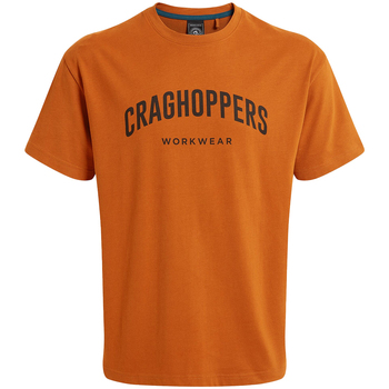 textil Hombre Camisetas manga larga Craghoppers PC6932 Multicolor