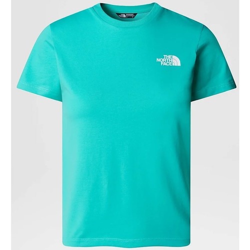 textil Hombre Tops y Camisetas The North Face NF0A87T4PIN1 Verde