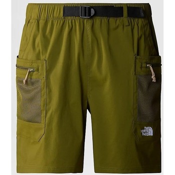 textil Hombre Shorts / Bermudas The North Face NF0A86QJPIB1 Verde