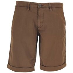 textil Hombre Shorts / Bermudas Modfitters Pantalones cortos Brighton Hombre Jungle Marrón