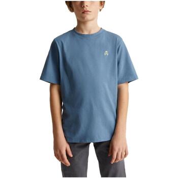 textil Niño Camisetas manga corta Scalpers 47108 BLUE Azul
