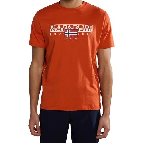 textil Hombre Camisetas manga corta Napapijri 236334 Naranja