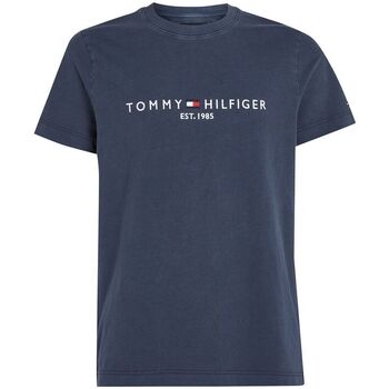 textil Hombre Tops y Camisetas Tommy Hilfiger MW0MW35186-DW5 DESERT SKY Azul