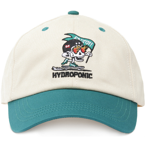 Accesorios textil Gorra Hydroponic PUSHING CP Multicolor