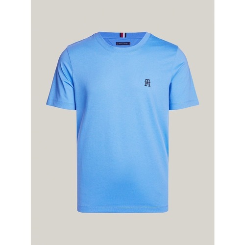 textil Hombre Tops y Camisetas Tommy Hilfiger MW0MW33987 Azul
