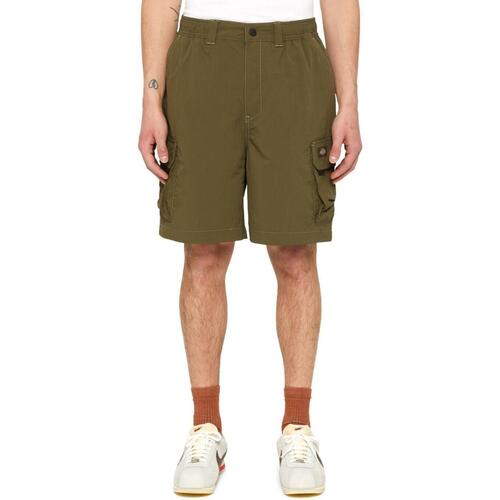 textil Hombre Shorts / Bermudas Dickies DK0A4YACMGR1 Verde
