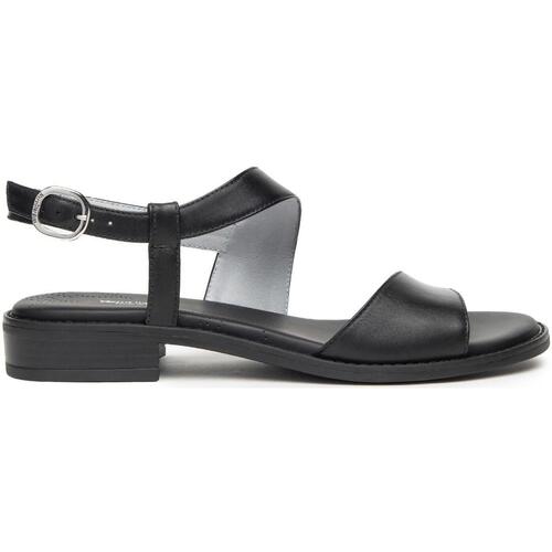 Zapatos Mujer Sandalias NeroGiardini NGDPE24-410460-blk Negro