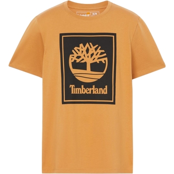 textil Hombre Camisetas manga corta Timberland 236630 Marrón