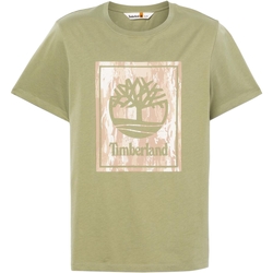 textil Hombre Camisetas manga corta Timberland 236610 Verde