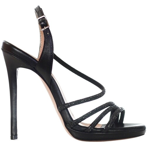 Zapatos Mujer Sandalias G.p.bologna  Negro