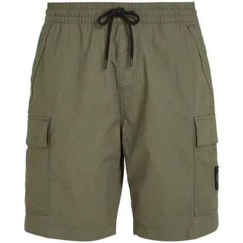 textil Hombre Shorts / Bermudas Calvin Klein Jeans J30J325138LDY Verde