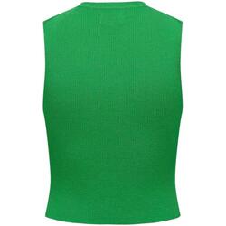 textil Tops y Camisetas Only 15255533-Green Bee Verde