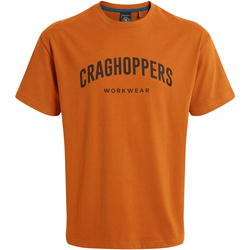 textil Hombre Camisetas manga larga Craghoppers Batley Multicolor