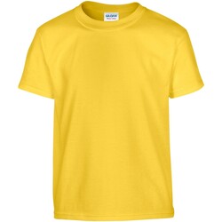 textil Niños Camisetas manga corta Gildan GD05B Multicolor