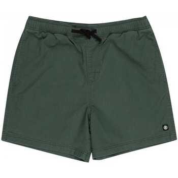 textil Hombre Shorts / Bermudas Element Valley twill Verde
