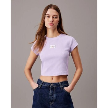 textil Mujer Camisetas manga corta Calvin Klein Jeans J20J223552VFR Violeta