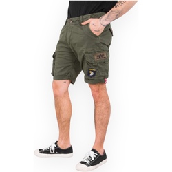 textil Hombre Shorts / Bermudas Alpha 186209 142 Verde