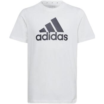 textil Hombre Camisetas manga corta adidas Originals IB1670 Blanco