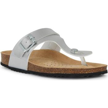 Zapatos Mujer Chanclas Geox D Brionia Plata