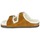 Zapatos Mujer Zuecos (Mules) Birkenstock ARIZONA Marrón