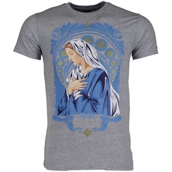 textil Hombre Camisetas manga corta Local Fanatic Holy Mary Gris