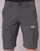 textil Hombre Shorts / Bermudas Helly Hansen HH CARGO Gris