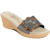 Zapatos Mujer Zuecos (Mules) Summery  Gris