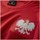 textil Hombre Camisetas manga corta Nike Poland 2018 Breathe Top Rojo