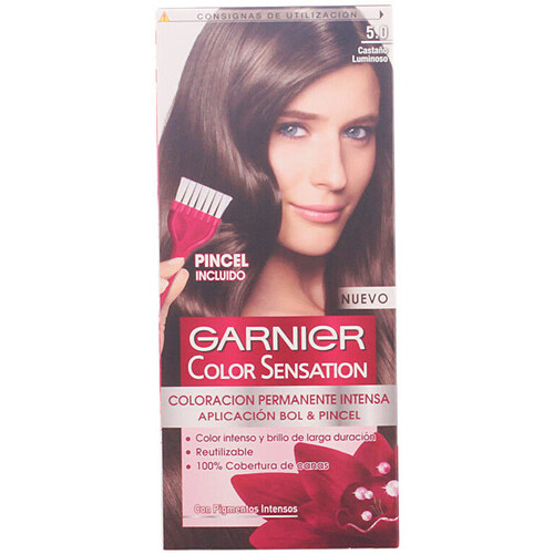 Belleza Coloración Garnier Color Sensation 5,0-castaño Luminoso 110 Gr 