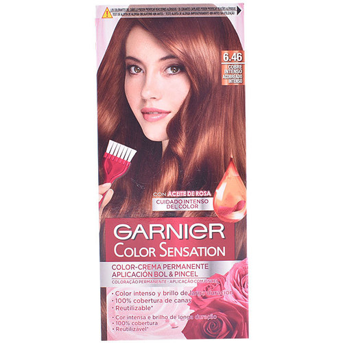Belleza Coloración Garnier Color Sensation Intensissimos 6,46-cobre Intenso 110 Gr 