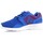 Zapatos Hombre Zapatillas bajas Nike Mens  Kaishi Print 705450-446 Azul