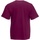 textil Hombre Camisetas manga corta Fruit Of The Loom 61036 Multicolor