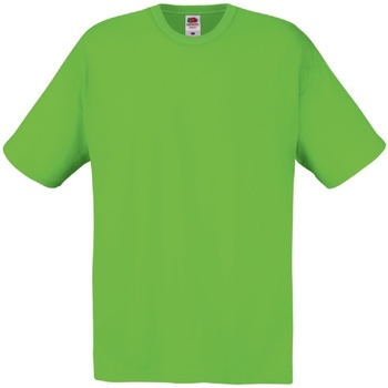 textil Hombre Camisetas manga corta Fruit Of The Loom 61082 Verde