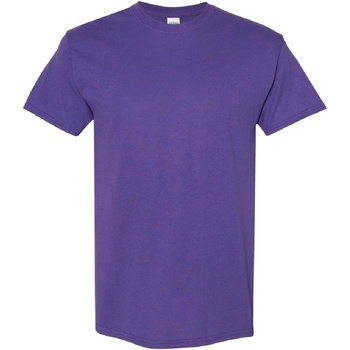 textil Hombre Camisetas manga corta Gildan Heavy Violeta
