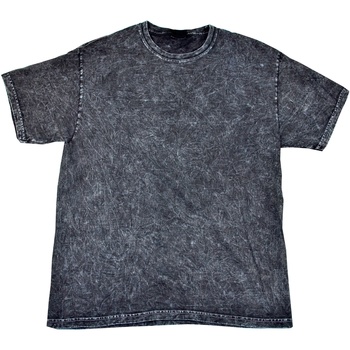 textil Hombre Camisetas manga corta Colortone Mineral Negro