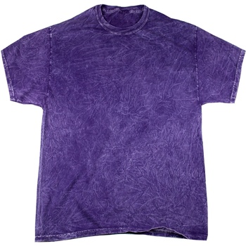 textil Hombre Camisetas manga corta Colortone Mineral Violeta