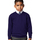 textil Niños Sudaderas Jerzees Schoolgear 272B Violeta